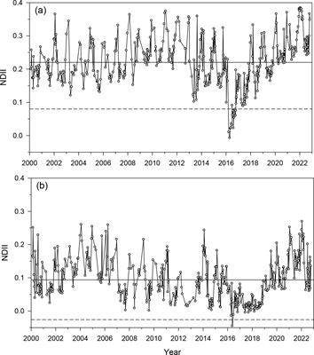 A multi-proxy framework to detect insect defoliations in tree rings: a case study on pine processionary